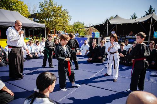 Demonstrație de aikido cu Federatia Romana de Aikido Modern în Parcul Tineretului